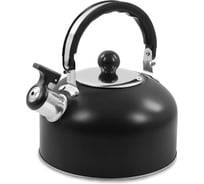 Чайник HOME ELEMENT HE-WK1602 черный матовый со свистком 38634