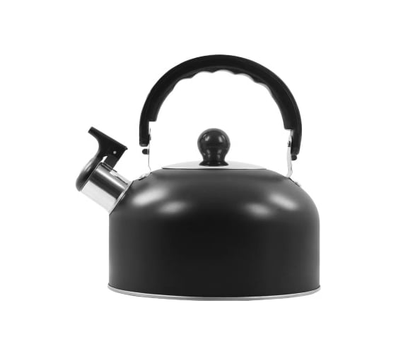 Чайник HOME ELEMENT HE-WK1602 черный матовый со свистком 38634