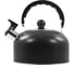 Чайник HOME ELEMENT HE-WK1602 черный матовый со свистком 38634 2