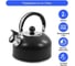 Чайник HOME ELEMENT HE-WK1602 черный матовый со свистком 38634 6
