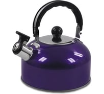 Чайник HOME ELEMENT HE-WK1602 фиолетовый чароит со свистком 36124