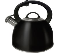 Чайник MARTA MT-3007 черный графит со свистком 43342
