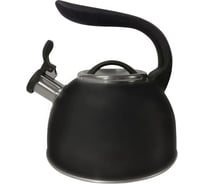 Чайник MARTA MT-3009 черный графит со свистком 43344