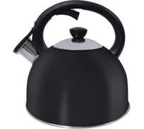 Чайник MARTA MT-3013 черный графит со свистком 43335