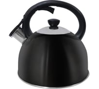 Чайник MARTA MT-3013 черный глянец со свистком 43336