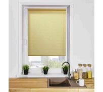 Рулонная штора LM DECOR LM 66-03 110х160 см 6603110