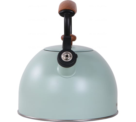 Чайник Willmark WTK-3694SS 2.8 л, со свистком, с крышкой, ручка из дуба, техн. Easy spout open, зеленый 2001455