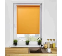 Рулонная штора LM DECOR LM 30-03 160х170 см 3003160