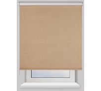 Рулонная штора PRAKTO BLACKOUT Dublin 120х175 см, коричневый 7799941