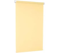 Рулонная штора Delfa РБ СРШ-01МЭ-2875 47(43)/160