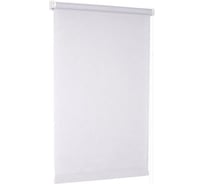 Рулонная штора Delfa СРШ-03-2800 140/160 РБ