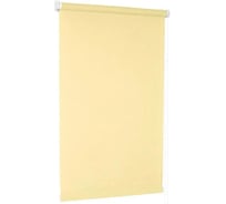 Рулонная штора Delfa СРШ-03-2875 120/160 РБ