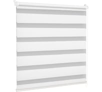 Рулонная штора Delfa день-ночь Стандарт белый D609 45/160