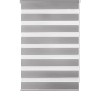 Рулонная штора PRAKTO Day&Night 60х160 см, серый 7791365