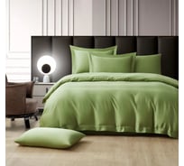Постельное белье Arya Home Arya Бамбук Tencel Arty, 200x220 см, Светло - зеленый 8680943228338