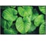 Влаговпитывающий коврик VORTEX Velur SPA Листья 50x80 см 10 24289 1