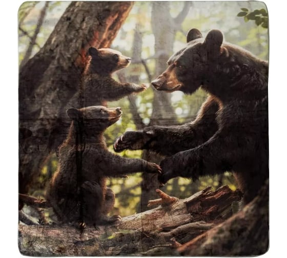 Плед Arya Home Arya с принтом, 200x220, Bear Family Черный 8680943247377