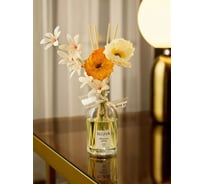 Диффузор ароматический Arya Home Arya Moroccan Amber 120 мл 8680943246073