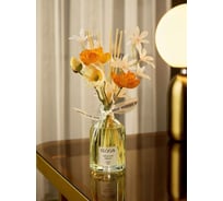 Диффузор ароматический Arya Home Arya Moroccan Amber 250 мл 8680943246103