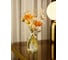 Диффузор ароматический Arya Home Arya Moroccan Amber 250 мл 8680943246103 1