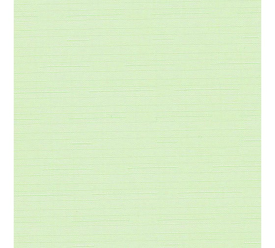 Ролло Эскар цвет 017 светло-зелёный, 120х170 см 81017120170