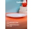 Тарелка обеденная LUMINARC ЭВРИДЭЙ 24 см Q1930 3