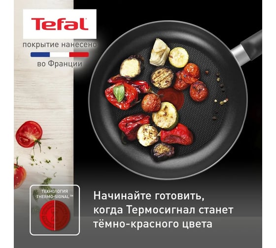Сковорода TEFAL Easy Plus 04237924 круглая 24 см ручка несъемная (с крышкой) черный (9100054100) 2023811