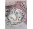 Тарелка обеденная CRYSTAR BOTANICA серый, 24 см CND011 8