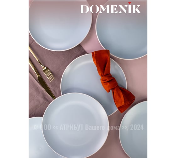 Тарелка обеденная DOMENIK SCANDY BLUE 24 см DMD141