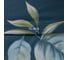 Комплект постельного белья Arya Home Arya Alamode 2 спальный 200x220 cм Miri 8680943081599 7
