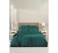Комплект постельного белья Arya Home Arya Vip из однотонного сатина 1.5 спальный 160x220 cм зеленый 8680943244352
