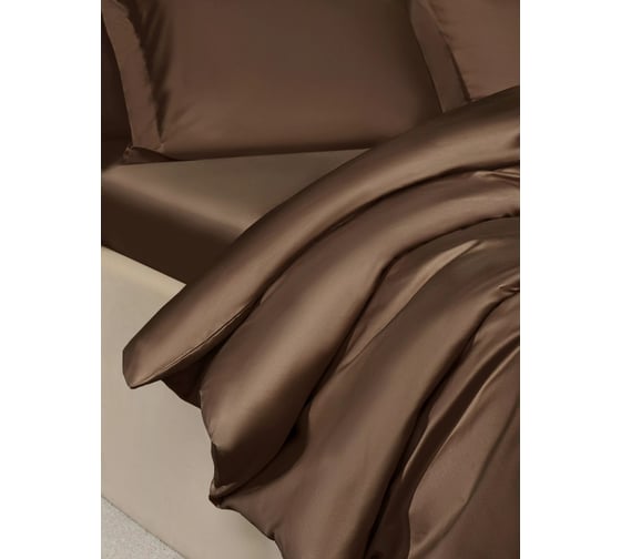 Комплект постельного белья Arya Home Arya Vip из однотонного сатина 1.5 спальный 160x220 cм темно-коричневый 8680943244321