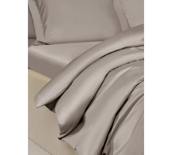 Комплект постельного белья Arya Home Arya Vip из однотонного сатина 1.5 спальный 160x220 cм светло-серый 8680943244277