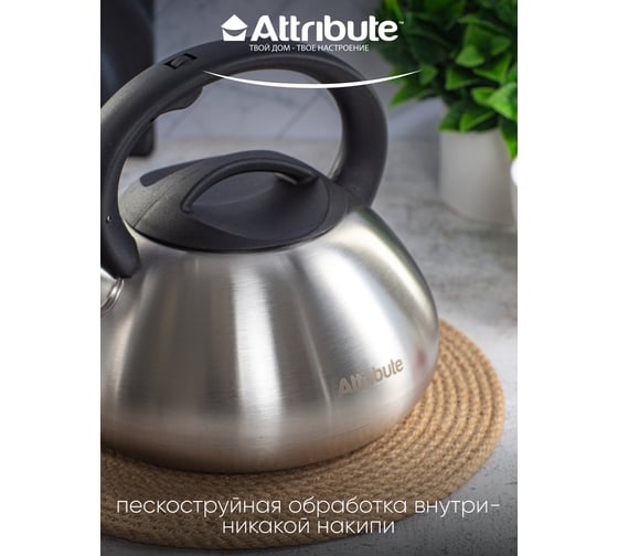 Чайник Attribute DUET 3 л, со свистком ASD004