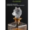 Штоф для крепких напитков GLASSERIE SPIRIT OF WOLF 850 мл GL009 7