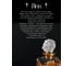 Штоф для крепких напитков GLASSERIE SPIRIT OF LION 850 мл GL011 7
