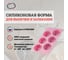 Форма для выпечки новинка DOBB&MOPP Миникекс силиконовая П-01-64-(205) 2
