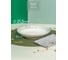 Столовый набор FIORETTA SPRINGTIME на 2 персоны, 8 предметов TDS636-ECOM 9