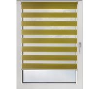 Рулонная штора PRAKTO Day&Night 40х150см зеленый 59970233