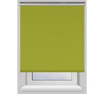 Рулонная штора PRAKTO Blackout Silver 140х175см зеленый 7795134