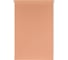 Рулонная штора PRAKTO Shantung 50х150см персиковый 7793321 10