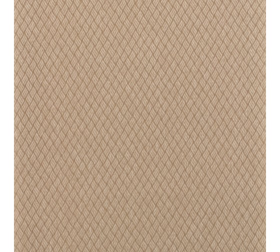 Рулонная штора PRAKTO Ribbed 100х160см бежевый 6530178