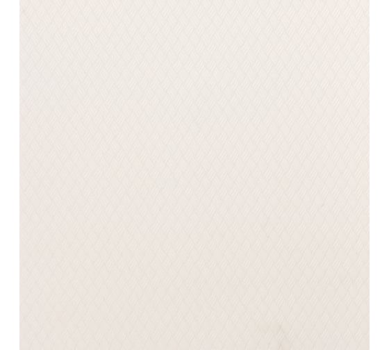 Рулонная штора PRAKTO Ribbed 60х160см белый 6530031