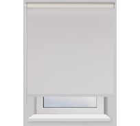 Рулонная штора PRAKTO Nuance 50х160см белый 7797251