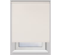 Рулонная штора PRAKTO BLACKOUT 160х175см Dublin белый 7799705