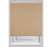 Рулонная штора PRAKTO BLACKOUT 160х175см Dublin коричневый 7799965