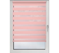 Рулонная штора PRAKTO Day&Night 90х160см пыльная роза 8312227