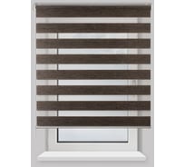 Рулонная штора PRAKTO Day&Night 160х175см эбен 7793901