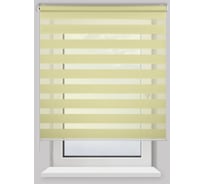 Рулонная штора PRAKTO Day&Night 160х175см мятный 8312371