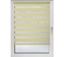 Рулонная штора PRAKTO Day&Night 80х160см мятный 8312326